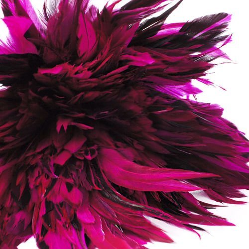 40pcs fuchsia rose noir teint les plumes de coq pendentif boucles d'oreilles bijoux de la chapelleri sku-39375