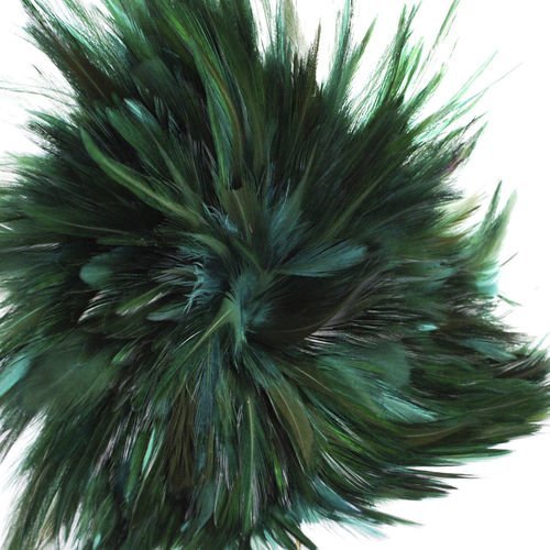 30pcs bleu turquoise vert teint les plumes de coq pendentif boucles d'oreilles bijoux de la chapelle sku-39401