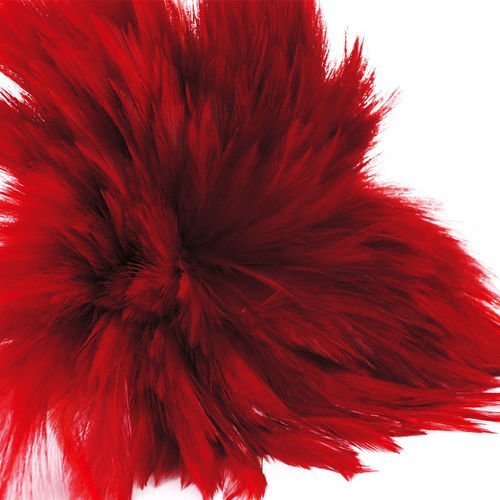30pcs feu rouge teint les plumes de coq pendentif boucles d'oreilles bijoux de la chapellerie bobo c sku-39408