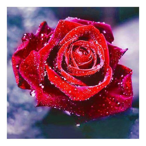Rose fleur de bricolage 5d de diamant de la peinture par numéro kit de cristal strass broderie point sku-40849