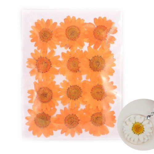 12pcs teint orange pressé séchée fleur de chrysanthème plantes sèches époxy résine uv pendentif nail sku-41824