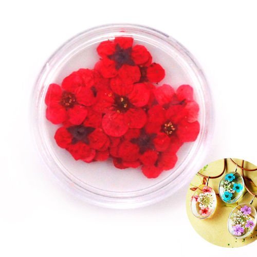 20pcs rouge teint pressé séchées peu narcisse fleur de plantes sèches époxy résine uv pendentif nail sku-41839