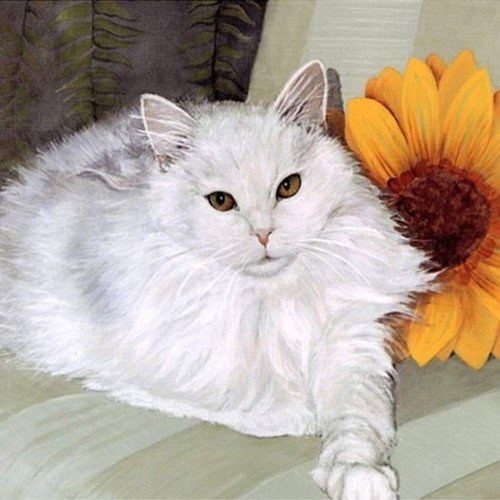1 pc blanc moelleux chat fleur de tournesol animal de compagnie acrylique peinture à la main par num sku-42580
