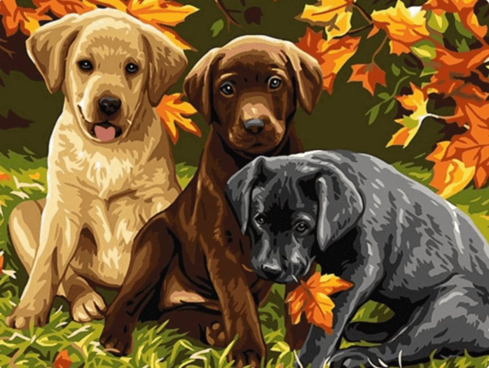 1pc Noir Marron Blanc Retriever Du Labrador Chiots Chien Chiot Pour Animaux De Compagnie à Lautomne Sku 42617