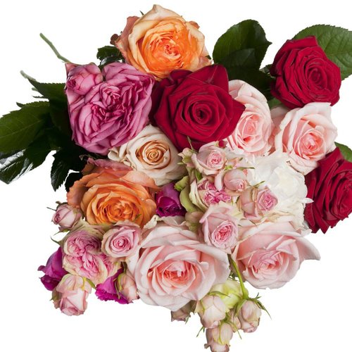 1pc fleur de la rose floral bouteille d'huile de parfum savon bougie de bricolage crème cosmétique s sku-42950