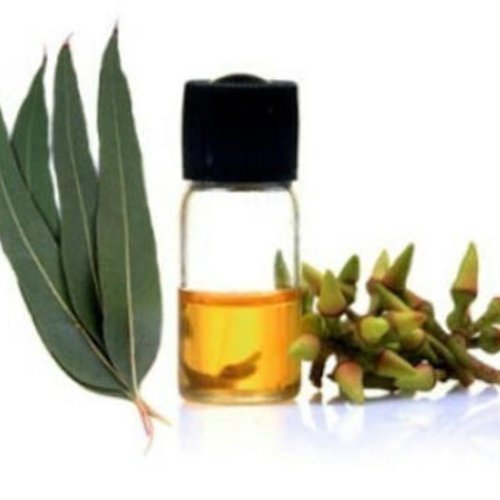 1pc eucalyptus bouteille d'huile essentielle naturelle de savon bougie de bricolage crème cosmétique sku-42970