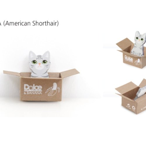1pc hoya chat american shorthair dans la maison de la boîte de papier coréen mignon bloc-notes autoc sku-43931
