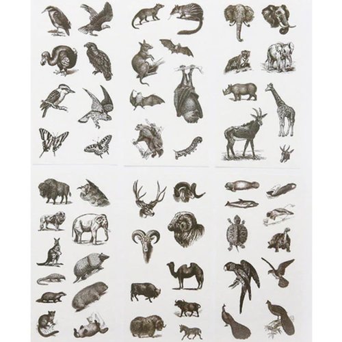 6 feuilles de définir vintage animaux en noir à l'encre de calligraphie silhouette de papier blanc w sku-44199