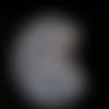 1pc transparent demi-lune chien de compagnie fille de silicone pendentif faire de plateau moule de p sku-50000