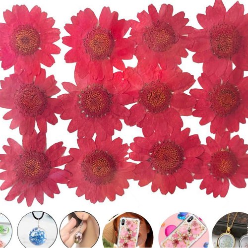 12pcs rouge chrysanthème teint pressé de fleurs séchées plantes sèches époxy résine uv pendentif nai sku-49488