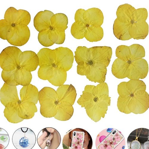 12pcs jaune hortensia teint pressé de fleurs séchées plantes sèches époxy résine uv pendentif nail a sku-49490