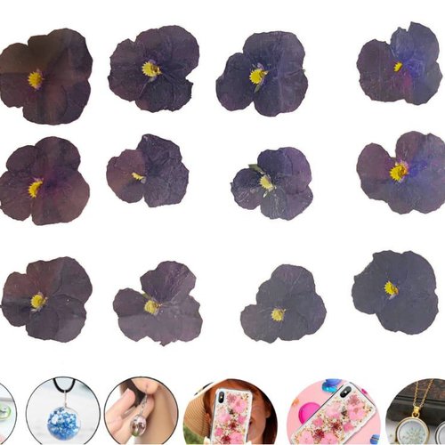 12pcs violet pansy teint pressé de fleurs séchées plantes sèches époxy résine uv pendentif nail art  sku-49498