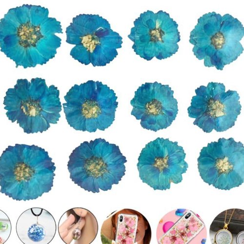 12pcs turquoise blue daisy teint pressé de fleurs séchées plantes sèches époxy résine uv pendentif n sku-49501