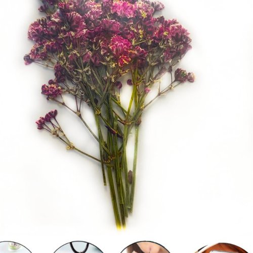 Violet petit souffle du bébé bush teint pressé de fleurs séchées plantes sèches époxy résine uv pend sku-49520
