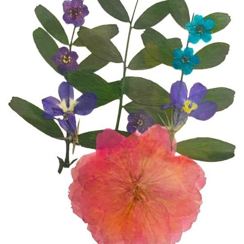 Mélange rose bleu violet pansy teint pressé de fleurs séchées plantes sèches époxy résine uv pendent sku-49524