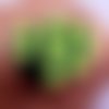 10pcs vert de chaux agrumes la pâte polymère fimo tranches de canne à cannes bâtons de nail art manu sku-49460