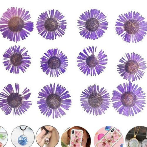 12pcs lavande violet daisy camomille teint pressé de fleurs séchées plantes sèches époxy résine uv p sku-49508