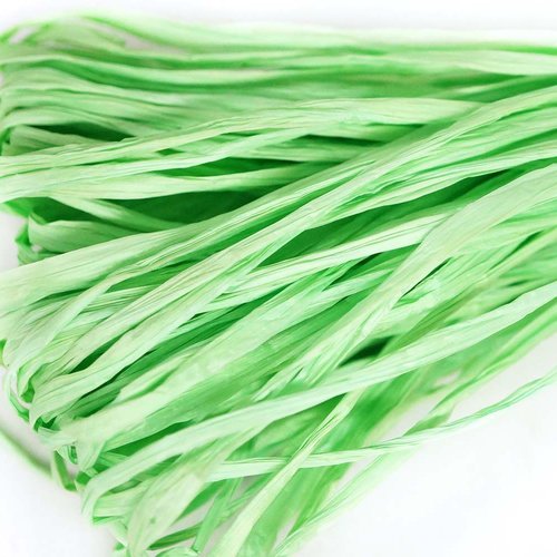 5m vert pâle mat plat raphia bande en nylon de broderie à la main en fil d'orfèvrerie luneville tamb sku-133610