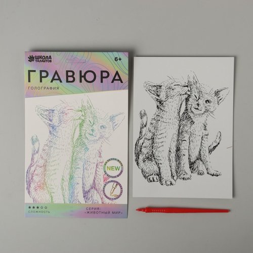 Les chatons chat scratch art kit de bricolage argent métallisé effet holographique gravure trousse d sku-254068