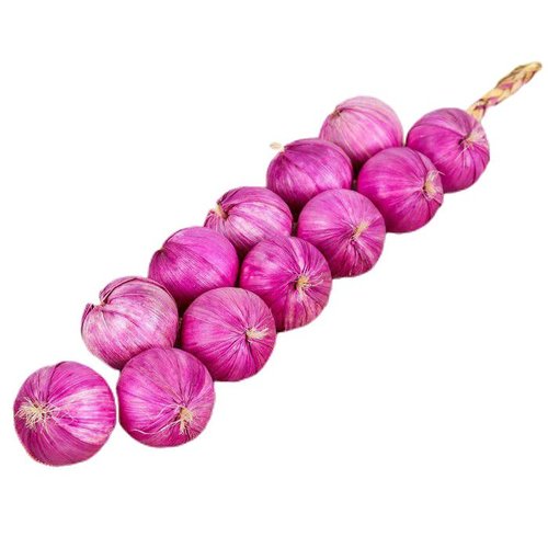 Légume artificiel "bouquet d'oignons" décor faux 12 oignons mélanger les couleurs de table décoratio sku-274702