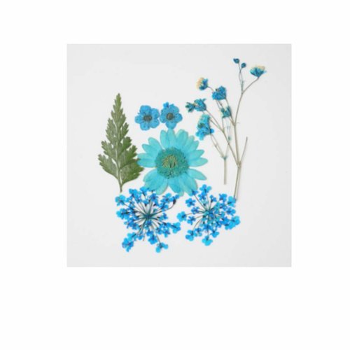 1pc bleu mélange pressé séché fleur feuille ammi plantes sèches époxy uv résine pendentif collier na sku-537115