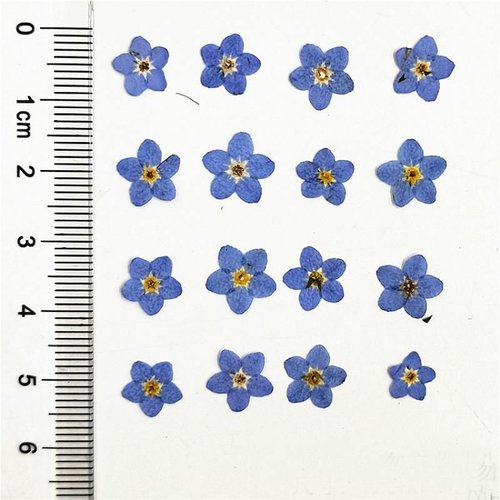 1 set (12pc) bleu foncé diy fournit moule époxy set flower plate dry durable 0.4cm-0.8cm sku-750393