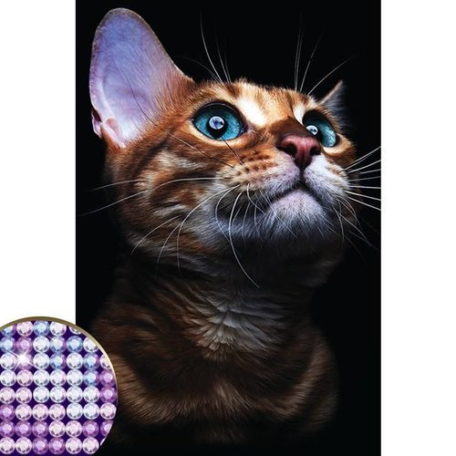 Diamant broderie diy kit toile avec partielle de remplissage "chat" 20x30 cm sur 5d peinture par num sku-278101