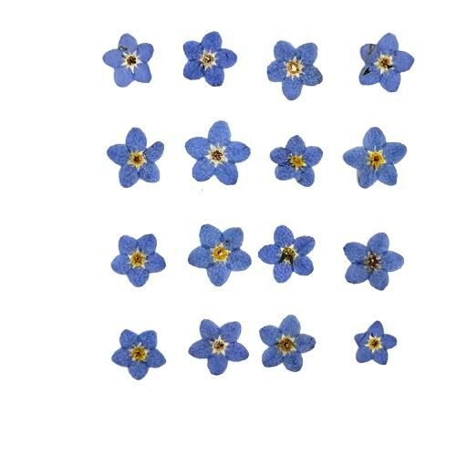 1 set (12pc) bleu foncé diy fournit moule époxy flower plate dry durable 0.4cm-0.8cm sku-750393