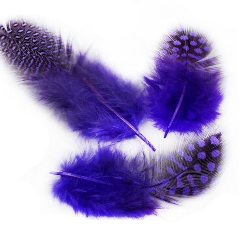 30pcs pourpre violet teint polka dot repéré guinée poule plumes pendentif boucles d'oreilles bijoux  sku-39342
