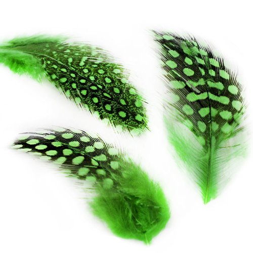 30pcs vert teint polka dot repéré guinée poule plumes pendentif boucles d'oreilles bijoux en plumage sku-39344