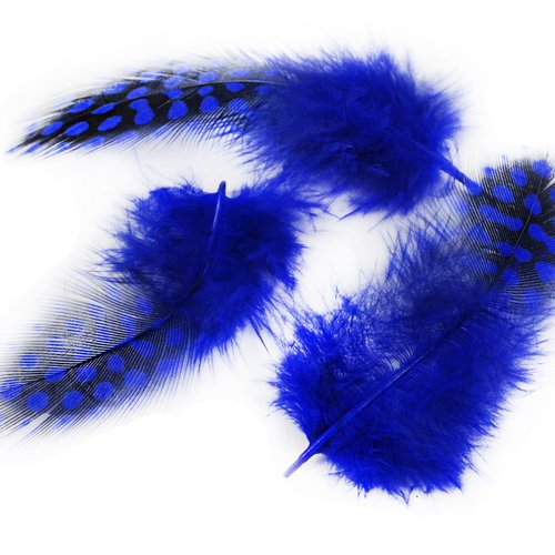 30pcs royal teints en bleu à pois repéré guinée poule plumes pendentif boucles d'oreilles bijoux plu sku-39349