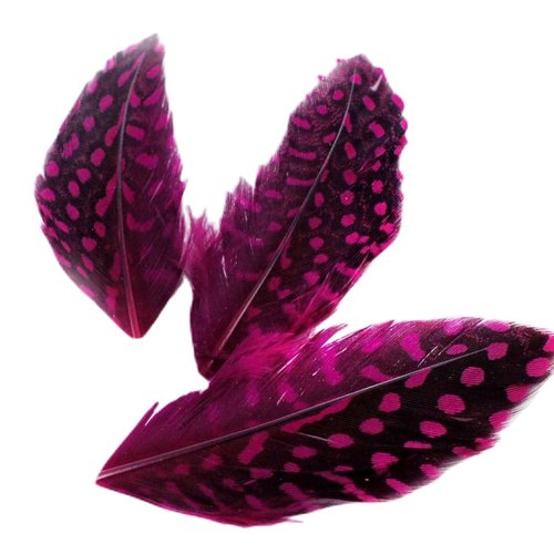 30pcs fuchsia rose chaud teint polka dot repéré guinée poule plumes pendentif boucles d'oreilles bij sku-39351