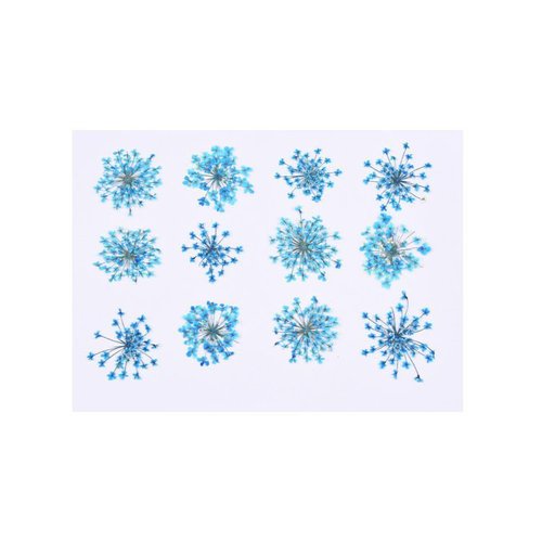 1 set (12pc) fleurs bleues diy moule époxy flower plate dry durable 1-1.5cm 1.5-2.5cm sku-750367