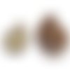 1pcs brown jaune natural genuine ammolite shell tailles mélangées snail shape pendant accessoires co sku-963652