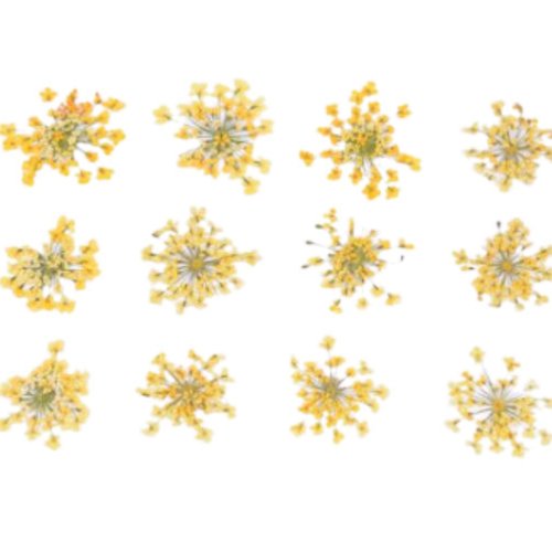 1 set (12pcs) fleurs jaunes diy moule époxy flower plate dry durable 1-1.5cm 1.5-2.5cm sku-963660