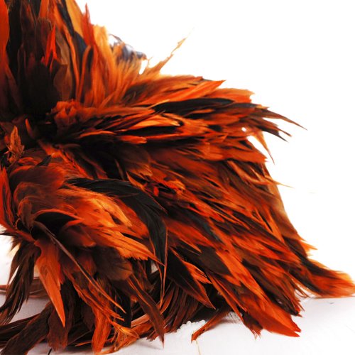 40pcs orange noir teint les plumes de coq pendentif boucles d'oreilles bijoux la chapellerie selle c sku-39365