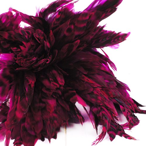40pcs fuchsia rose à rayures noires teint les plumes de coq pendentif boucles d'oreilles bijoux la c sku-39374
