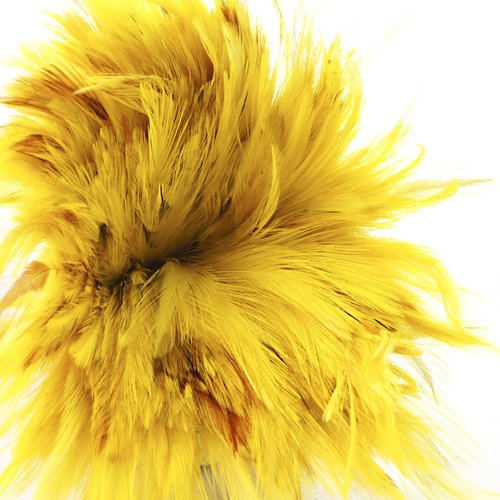 14 pcs citron jaune teint coq plumes pendentif boucles d'oreilles bijoux chapellerie selle costume d sku-39388