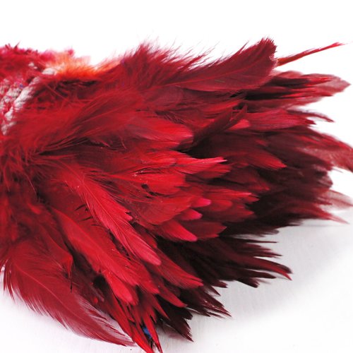 14pcs rouge rubis teint les plumes de coq pendentif boucles d'oreilles bijoux la chapellerie selle c sku-39393