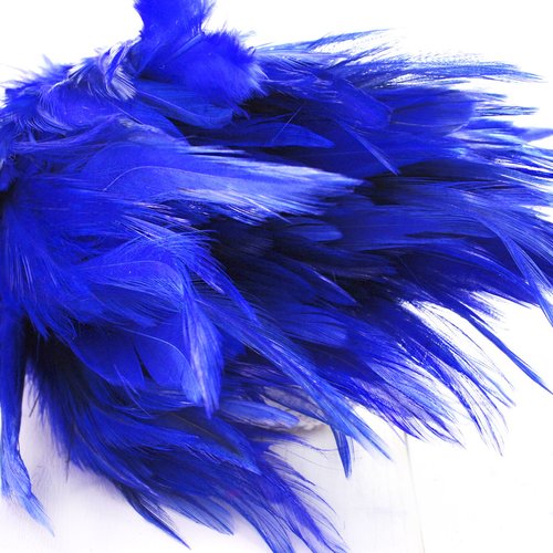 30pcs royal bleu foncé teint les plumes de coq pendentif boucles d'oreilles bijoux la chapellerie se sku-39404