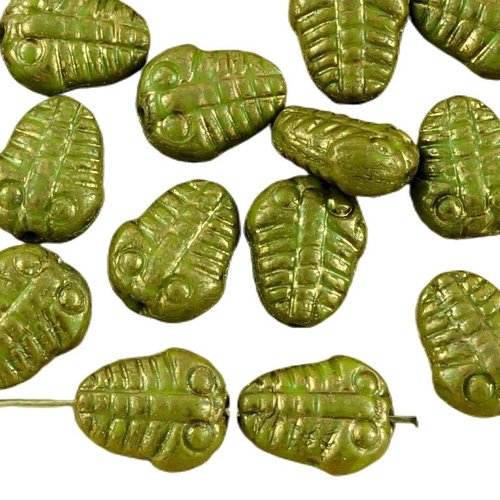 6pcs noir opaque de l'olivine vert olive en terre cuite bronze plat trilobite marin fossile nouvelle sku-35002