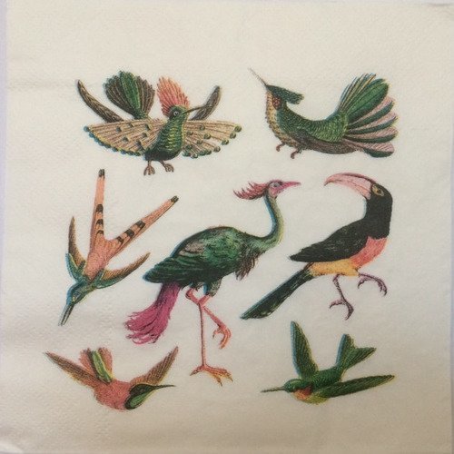 Serviette en papier motif sept oiseaux différents colorés sur fond blanc 