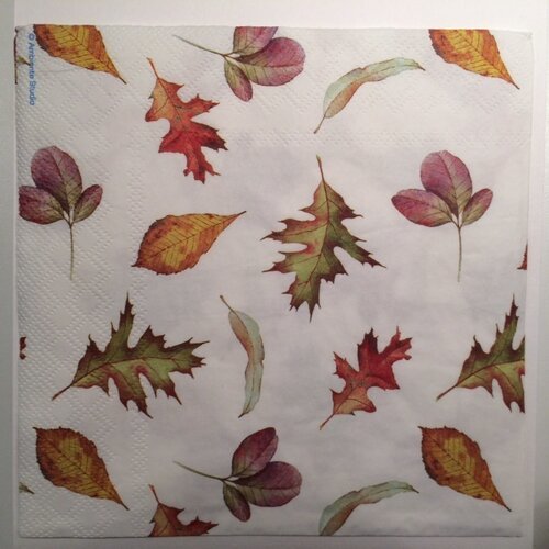 20/ serviettes Rouge de feuilles dautomne marron//feuilles//automne 33/ x 33/ cm