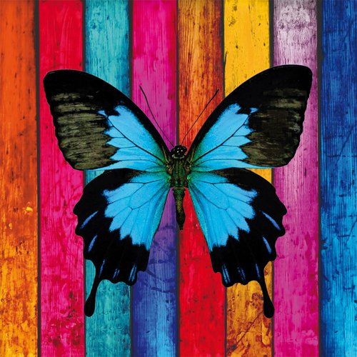 Serviette en papier motif très coloré, papillon bleu sur fond de planches multicolores 
