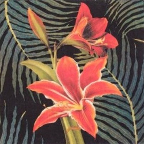 Serviette en papier motif grosses fleurs rouges (amaryllis) sur fond feuillu vert et noir