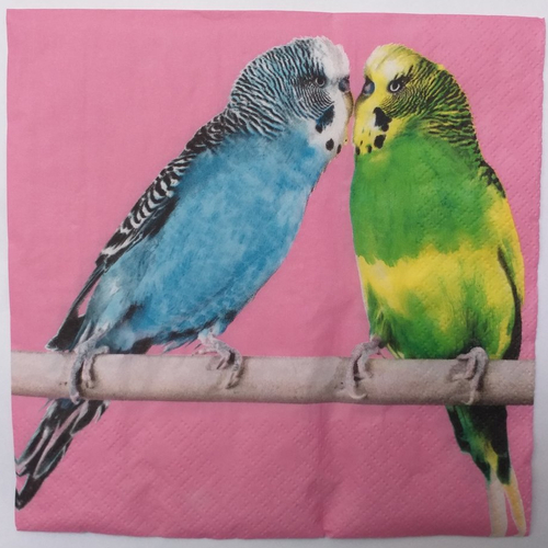 Serviette en papier motif 2 perruches bleu turquoise et vert / jaune sur fond rose