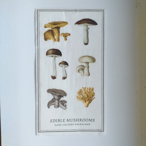Serviette en papier motif 6 différents champignons sur fond blanc