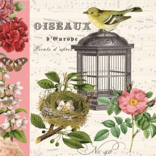Serviette en papier motif coloré, oiseaux d'europe avec cage et papillons sur fond de partition de musique 