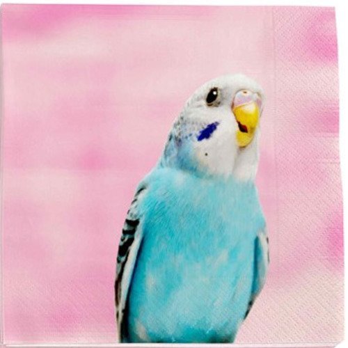  serviette en papier motif perruche bleu turquoise sur fond rose 