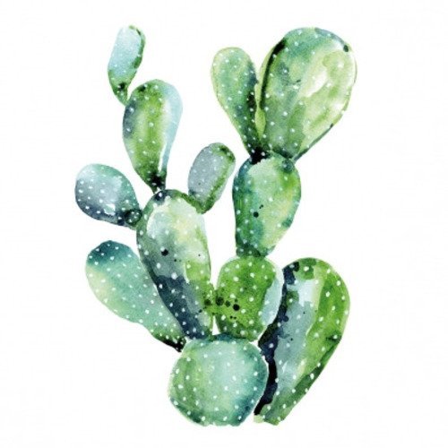 Serviette en papier motif cactus vert sur fond blanc 